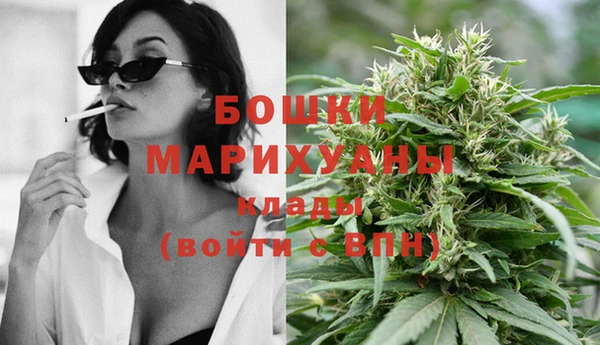 прущие грибы Балабаново
