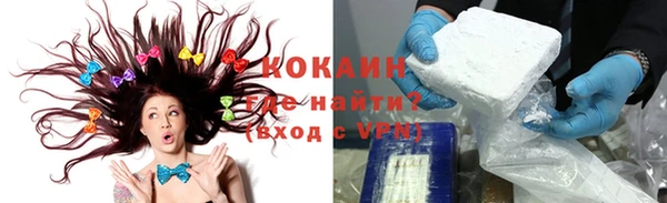прущие грибы Балабаново