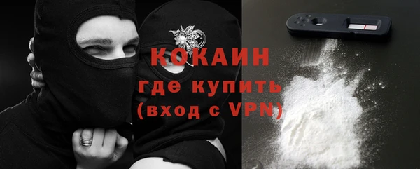 прущие грибы Балабаново