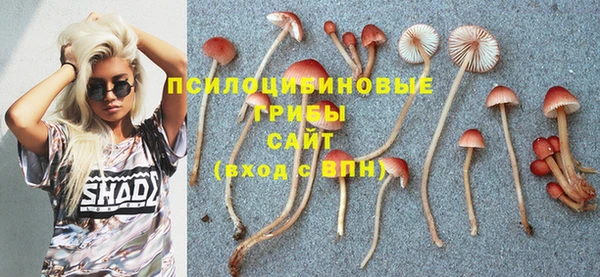 прущие грибы Балабаново