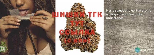 спайс Баксан
