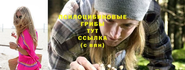 твердый Балахна