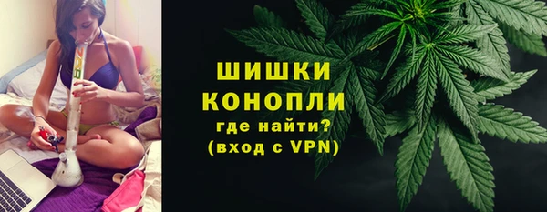 прущие грибы Балабаново