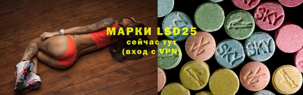 прущие грибы Балабаново