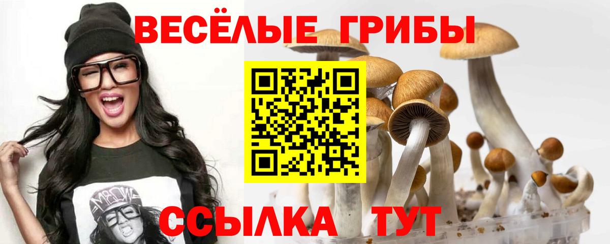 Галлюциногенные грибы Psilocybe Борисоглебск